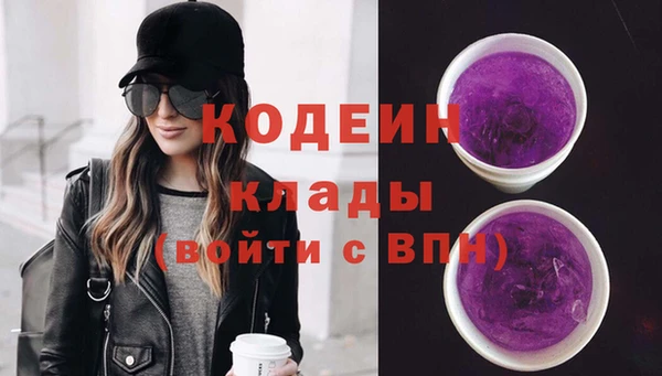 МДПВ Дмитров