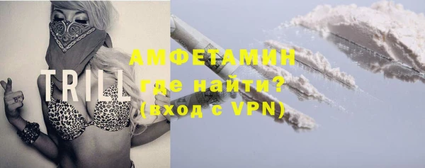 сатива Дмитриев