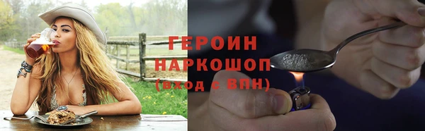 сатива Дмитриев