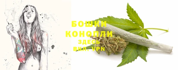 МДПВ Дмитров