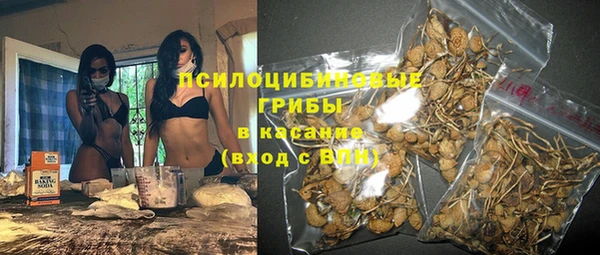 МДПВ Дмитров