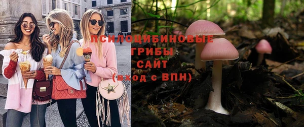 сатива Дмитриев