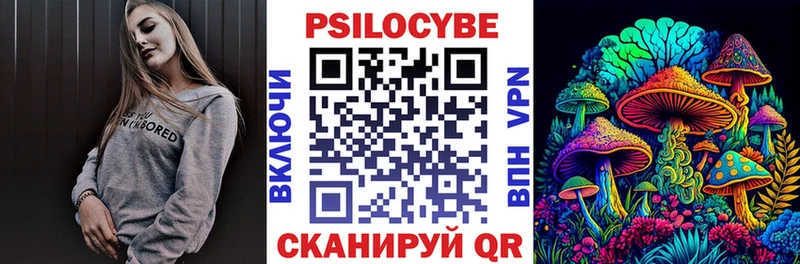 Купить где  Гусь-Хрустальный  Галлюциногенные грибы Cubensis 