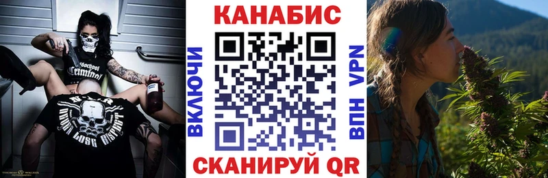 Купить  Гусь-Хрустальный  Бошки Шишки ГИДРОПОН 